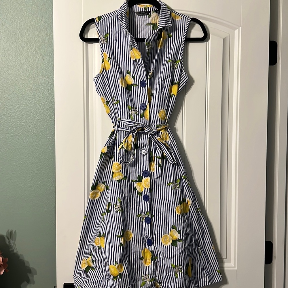 Blue and white striped lemon button up dress